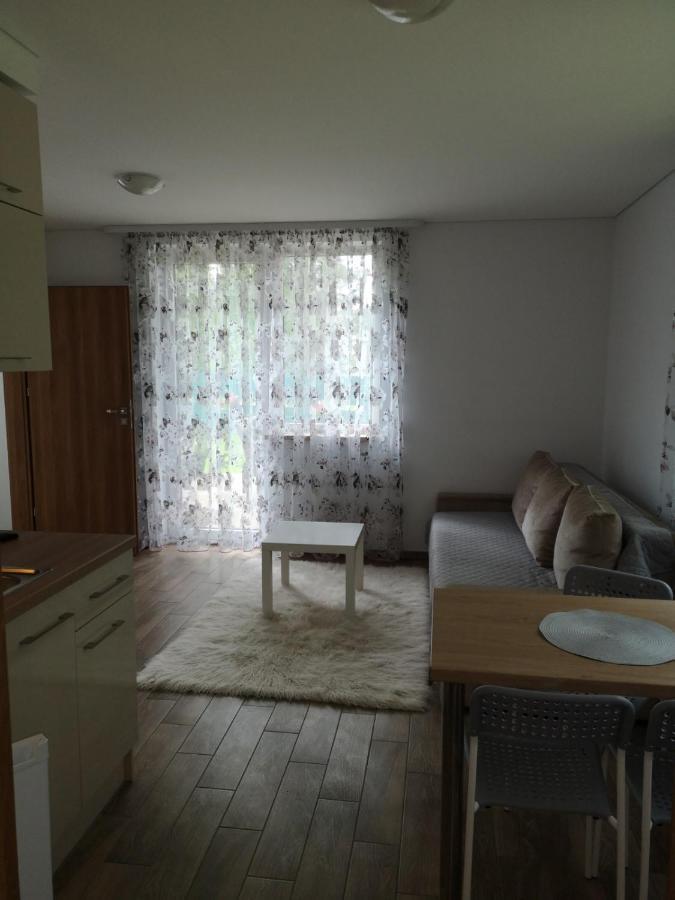 דרוסקינינקאי Kristinos Apartment מראה חיצוני תמונה