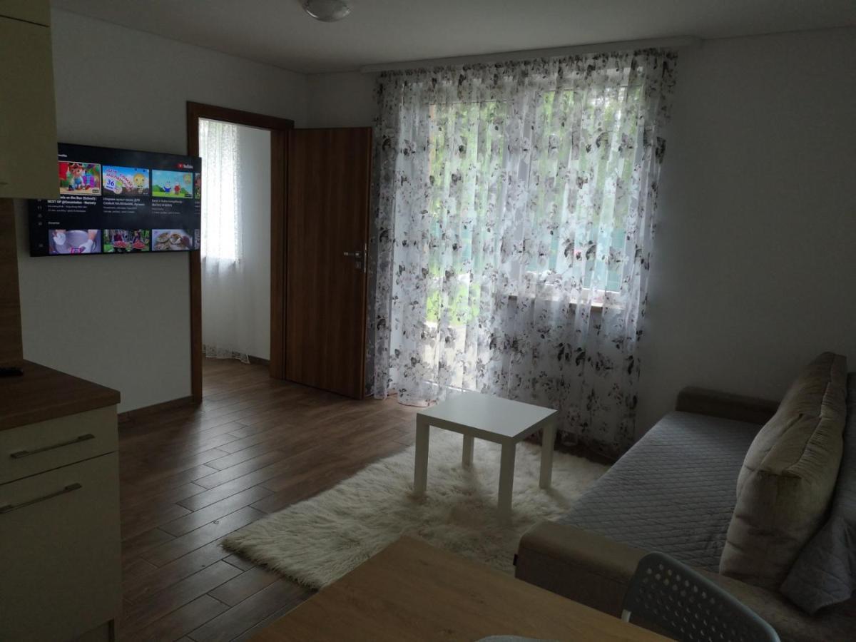 דרוסקינינקאי Kristinos Apartment מראה חיצוני תמונה