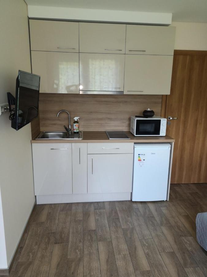 דרוסקינינקאי Kristinos Apartment מראה חיצוני תמונה