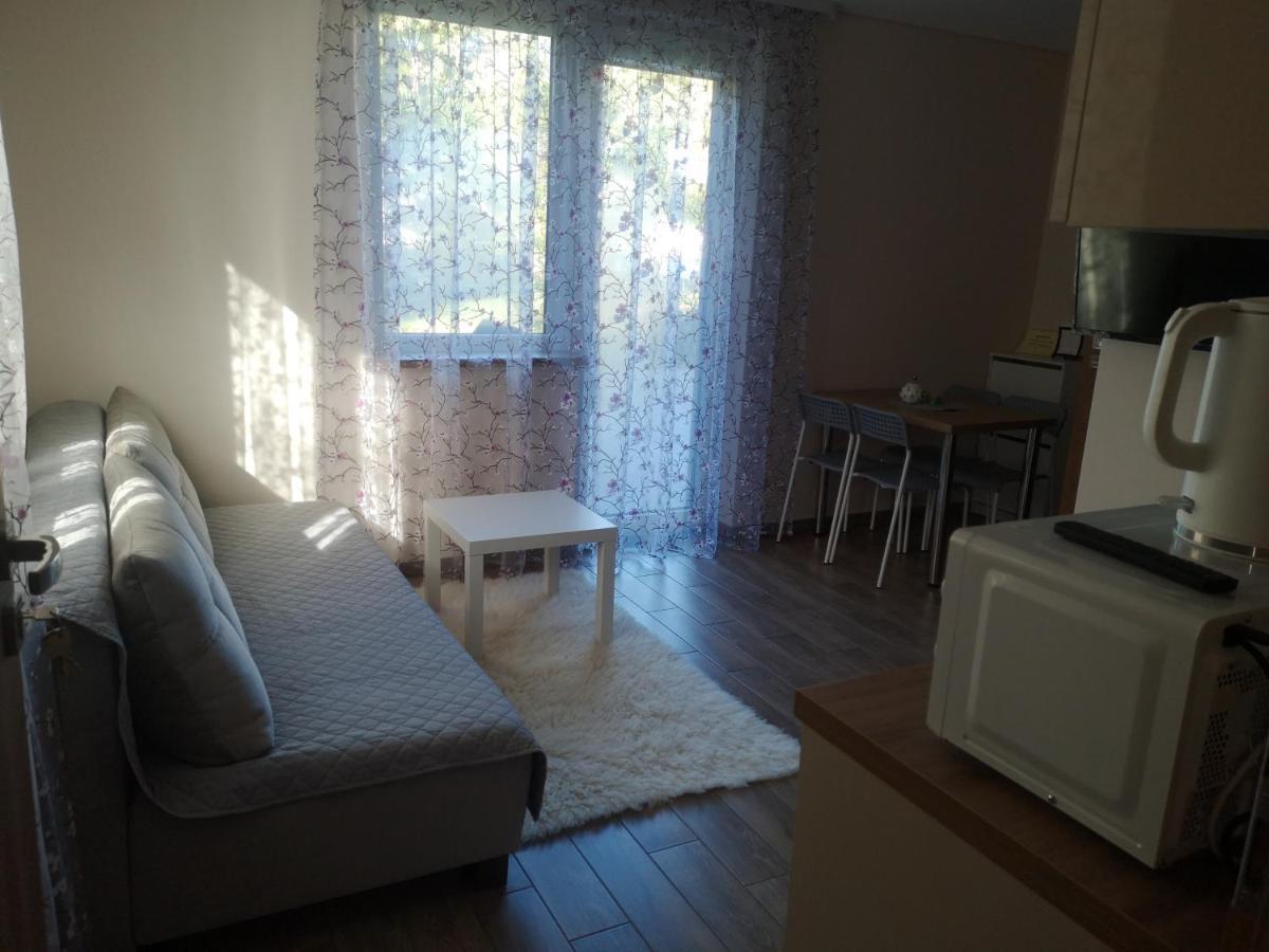 דרוסקינינקאי Kristinos Apartment מראה חיצוני תמונה