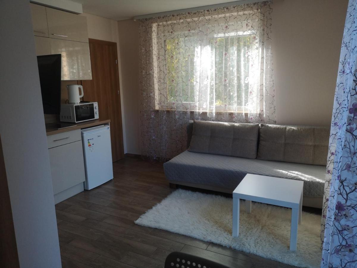 דרוסקינינקאי Kristinos Apartment מראה חיצוני תמונה